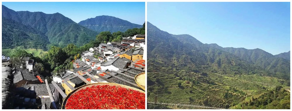 團(tuán)建之旅丨晶天人，一起走向詩(shī)與遠(yuǎn)方(圖1)